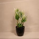 Lina - Pg, 2 Bedroom * بودغوريتْسا